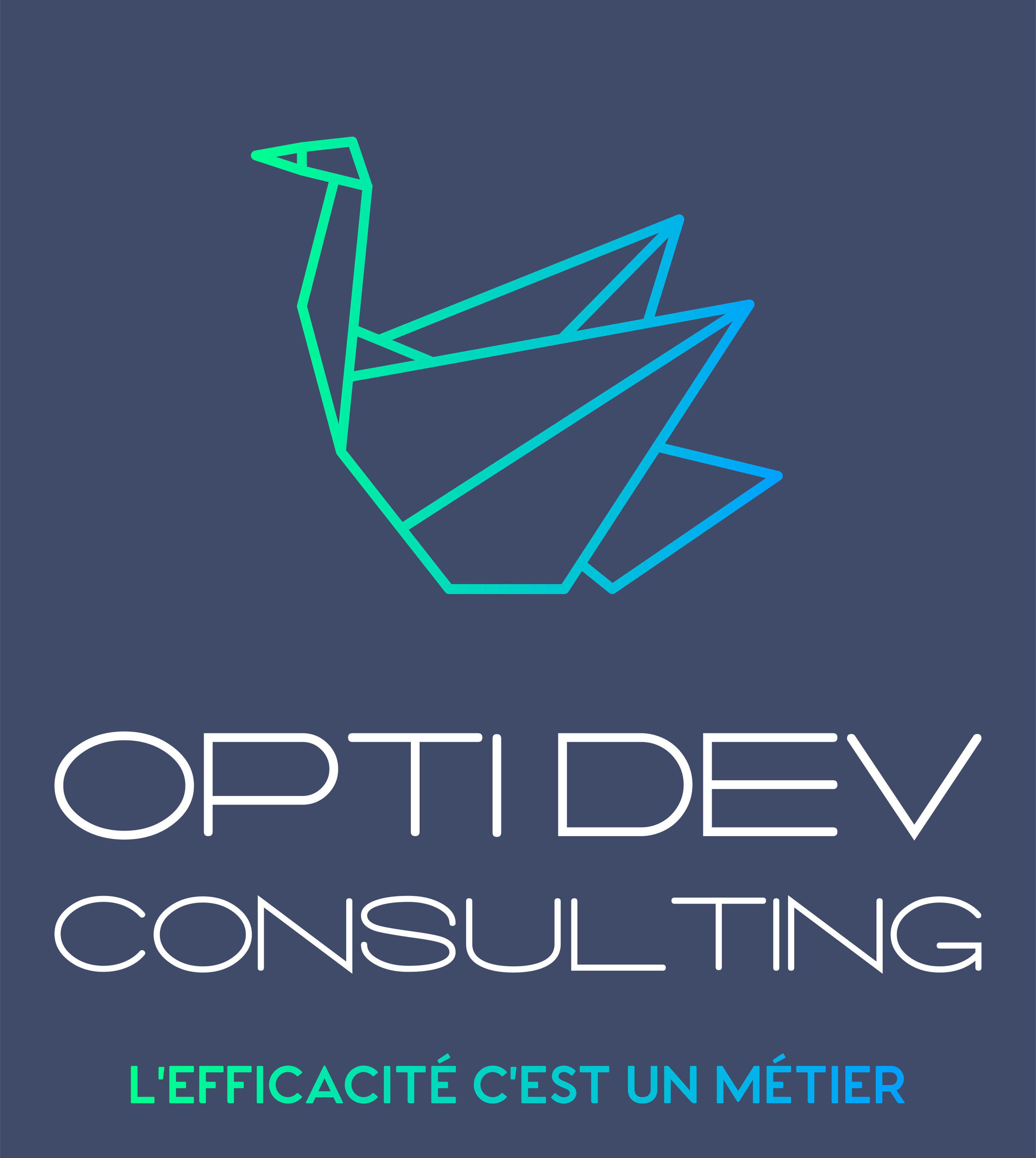 Cygne origami OPTI DEV CONSULTING